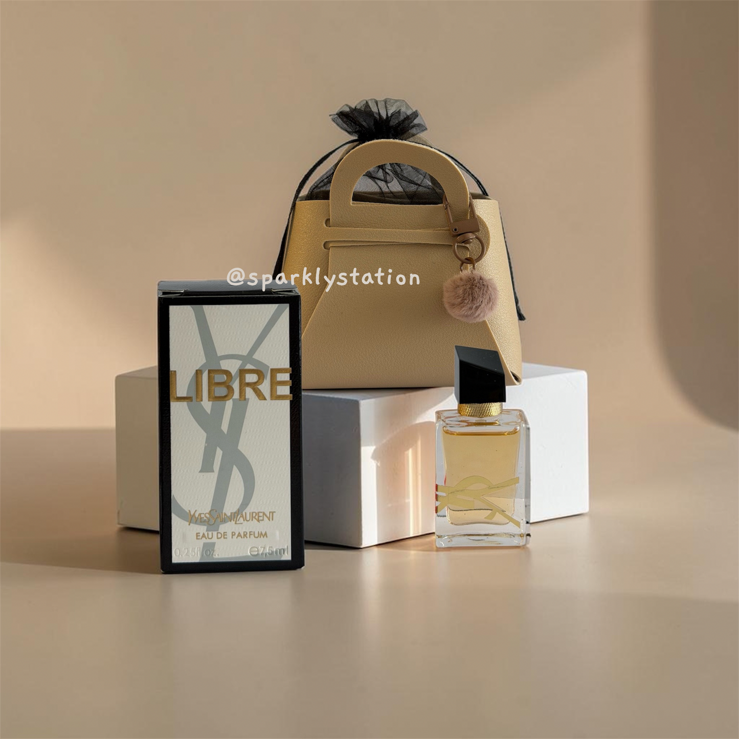 Mini Luxury Bag – Modern Muse Edition 🔥